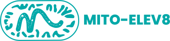 MITO-ELEV8